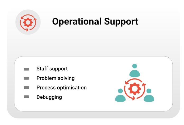 NetSuite Operational Support