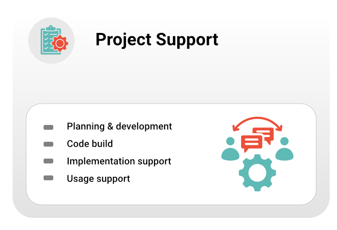 NetSuite Project Support